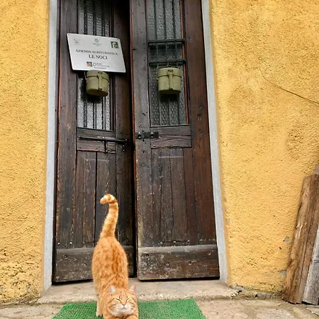 Agriturismo Le Noci Farm stay Tarzo